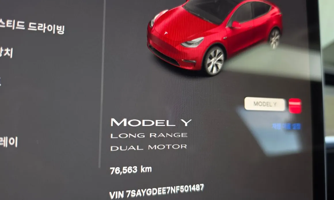 Tesla Model Y