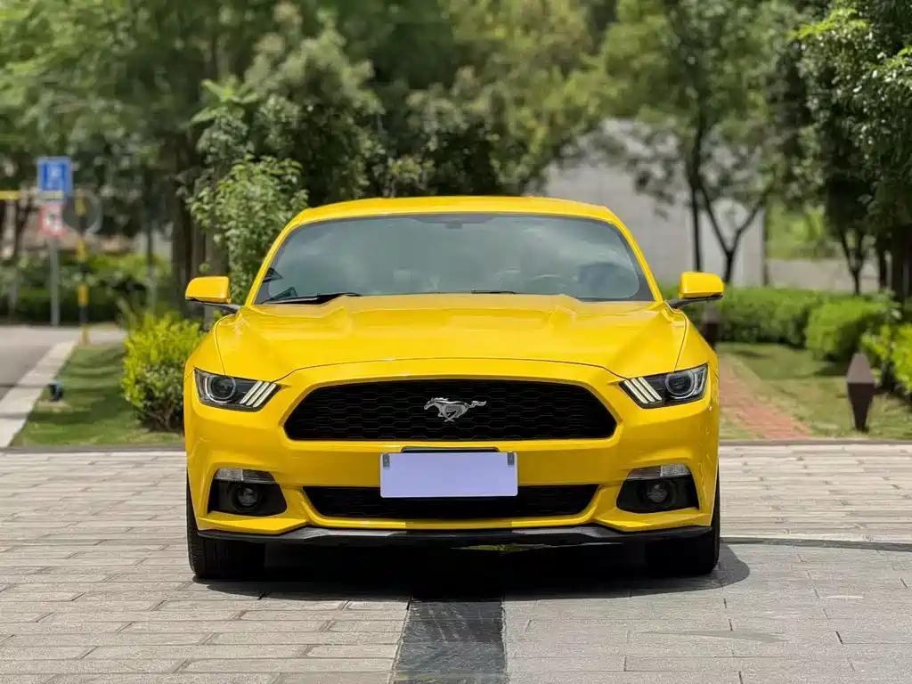FORD MUSTANG