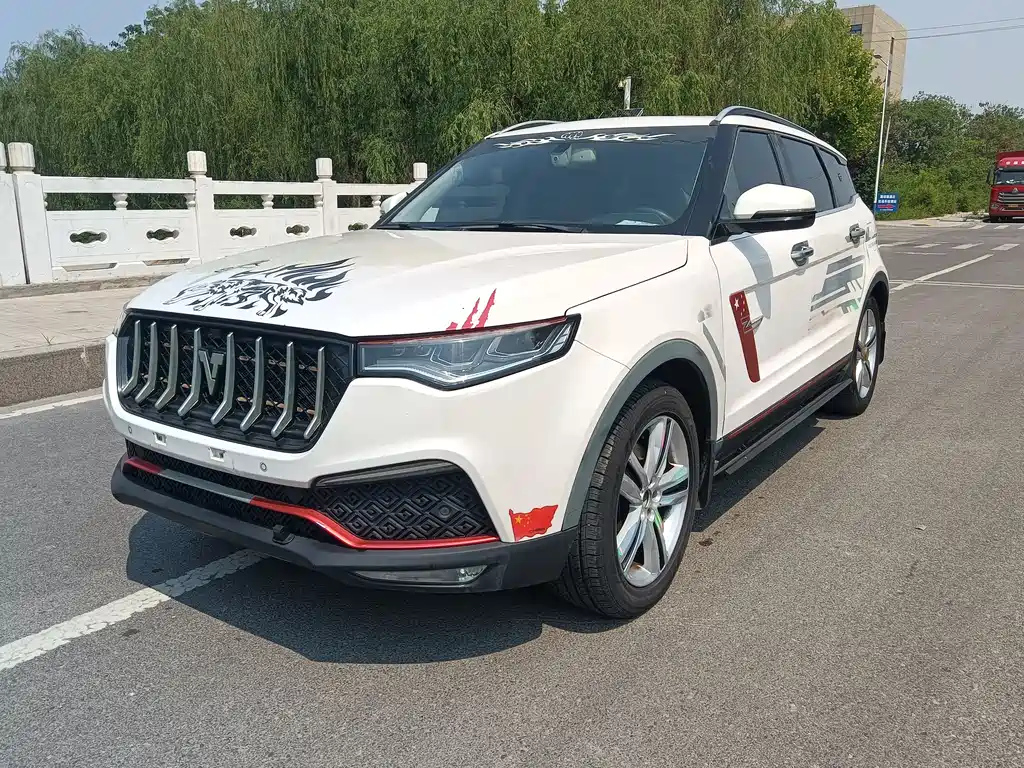 ZOTYE T700