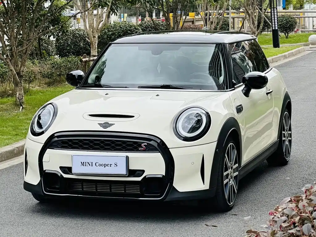 MINI OTHER