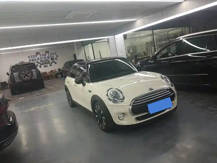MINI OTHER