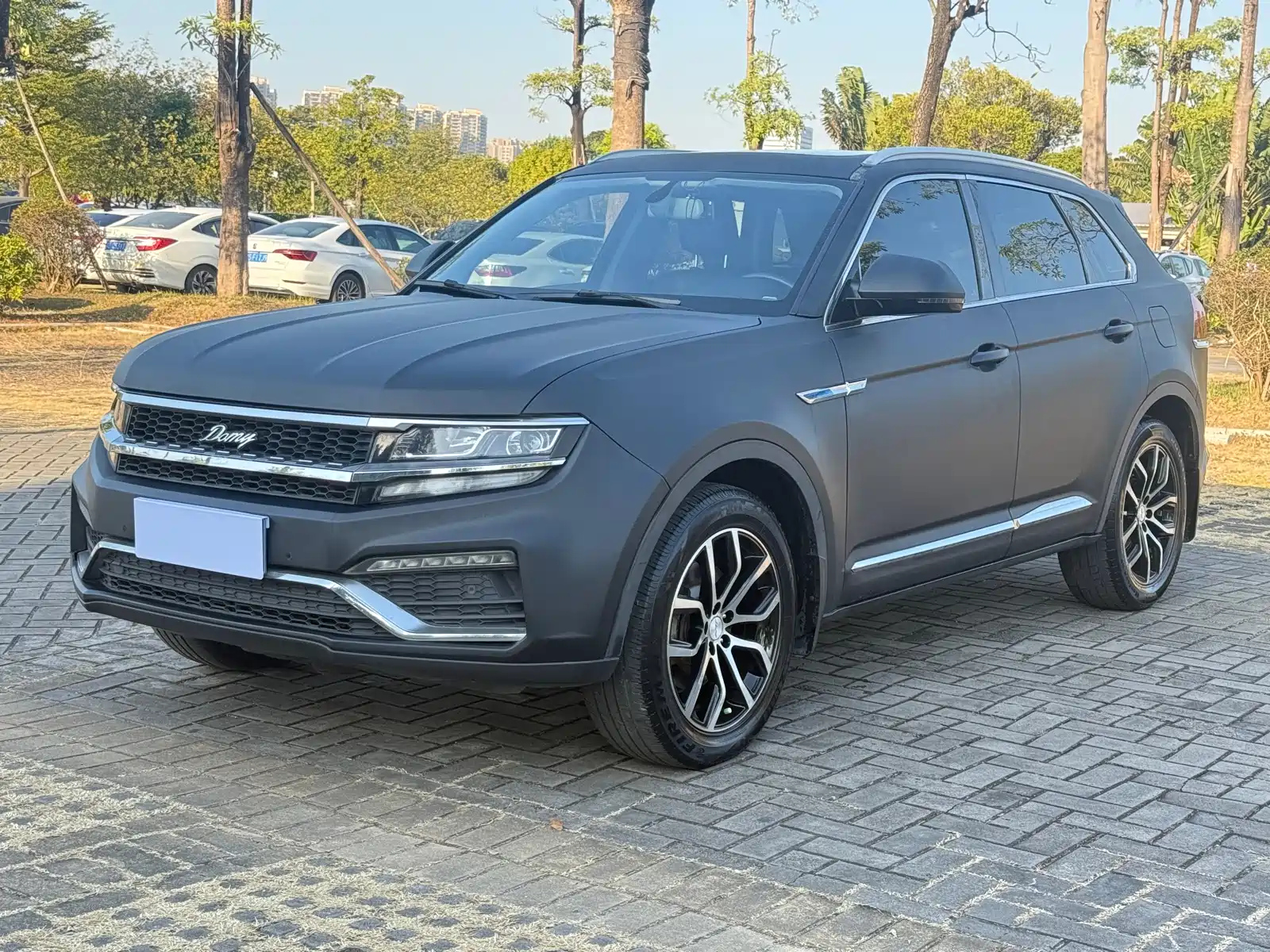 ZOTYE BIG 迈X7