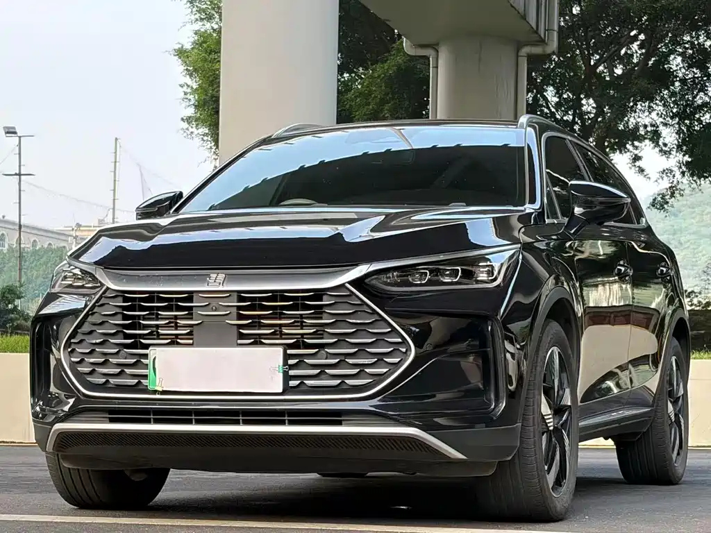 BYD TANG NEW ENERGY