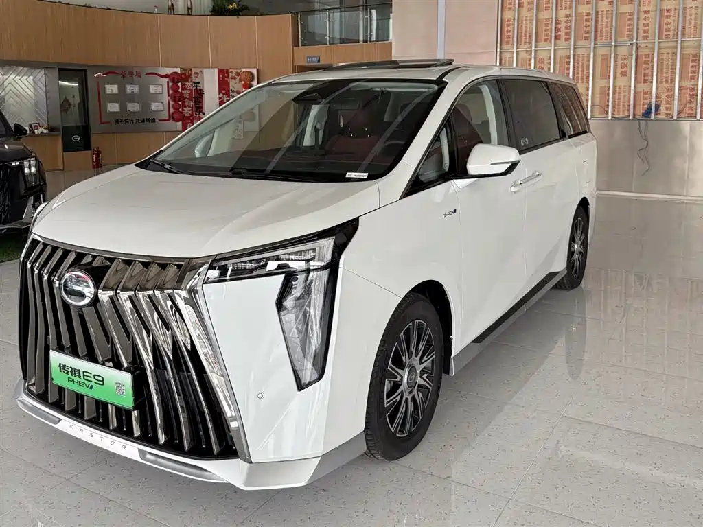 GAC TRUMPCHI TRUMPCHI E9