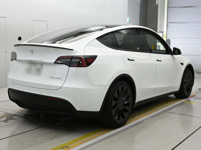 TESLA MODELY