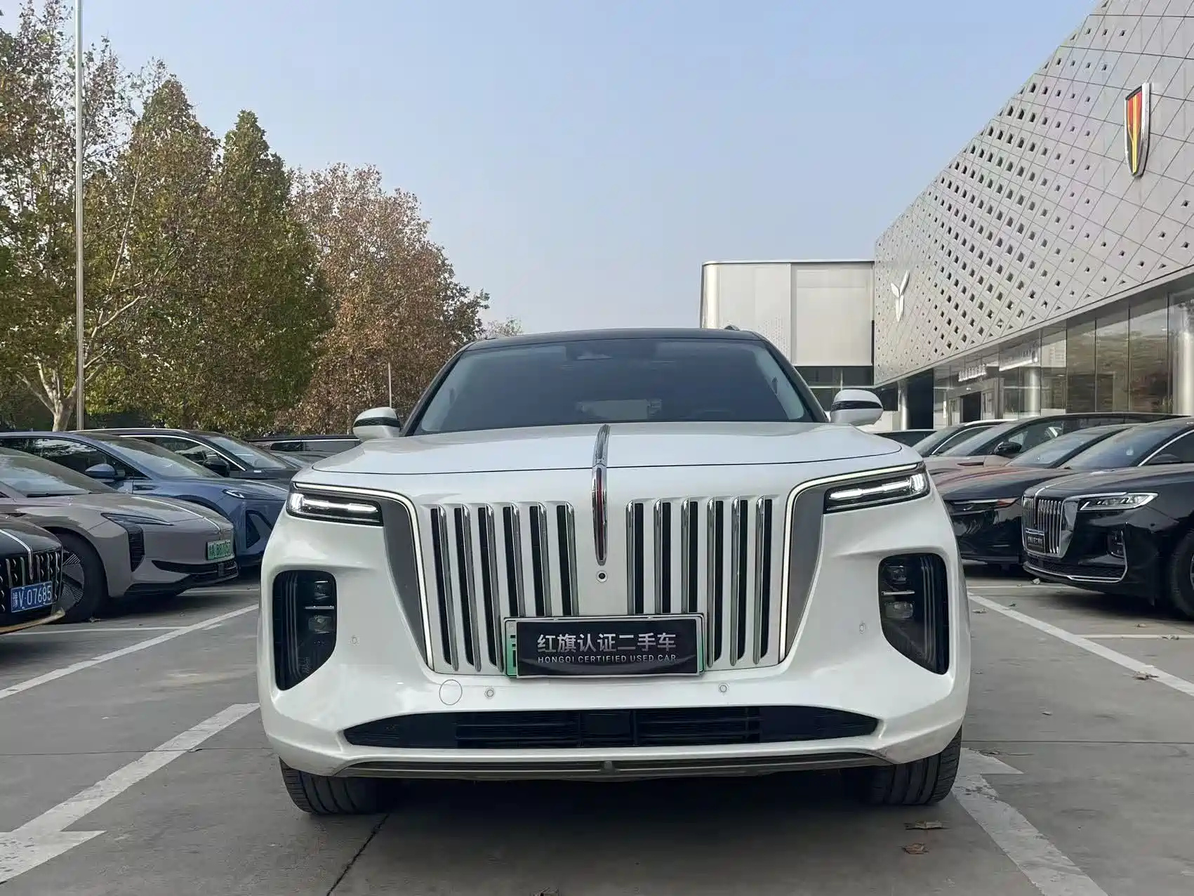 HONGQI E-HS9