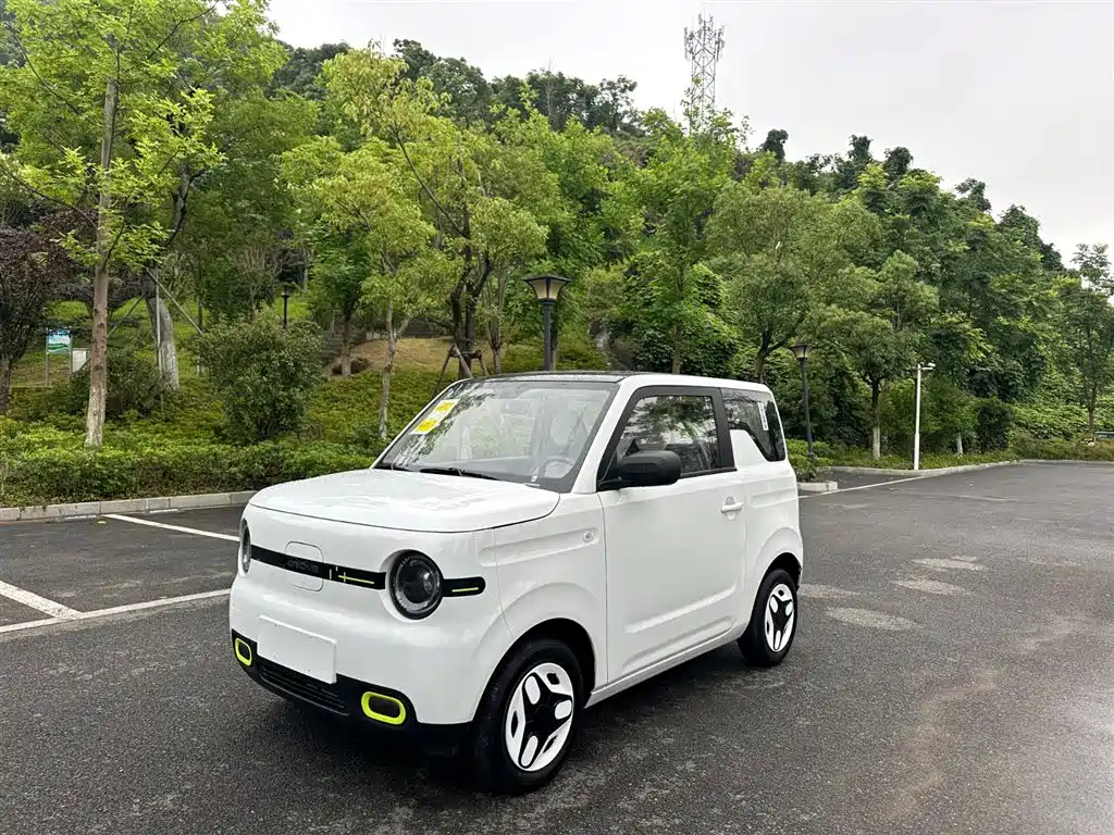 GEELY AUTO PANDA