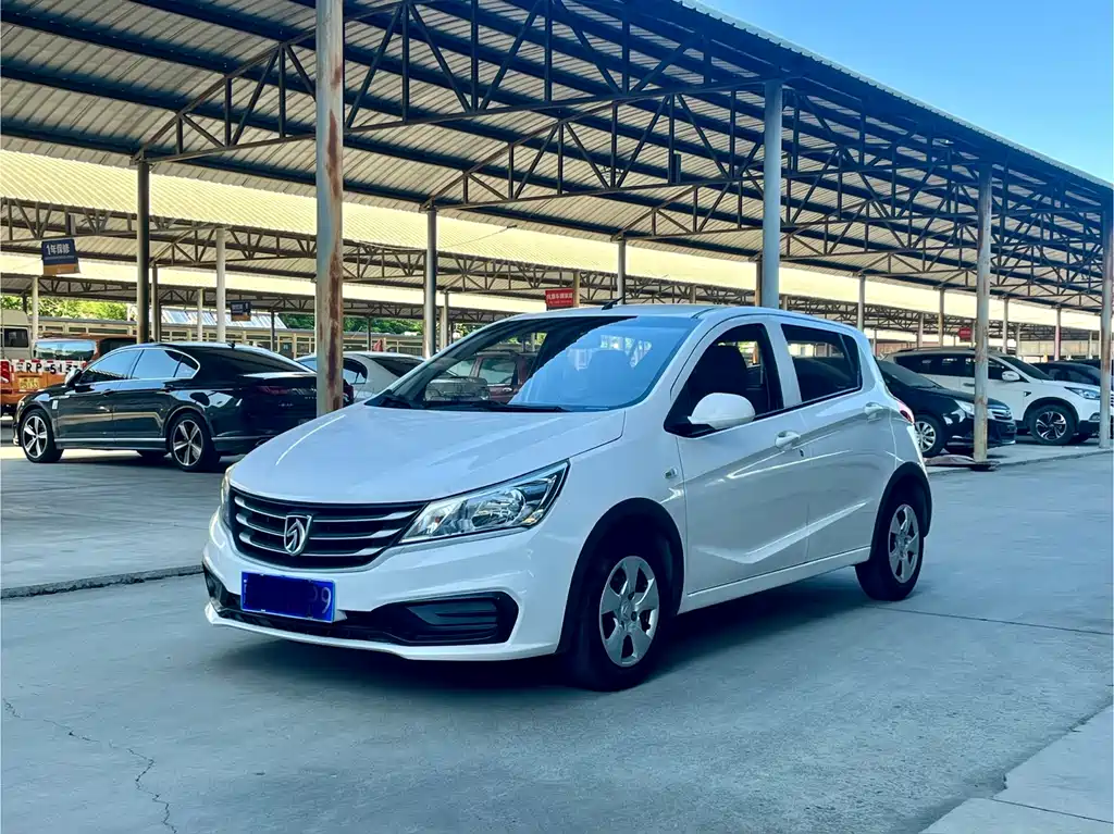 Baojun 310
