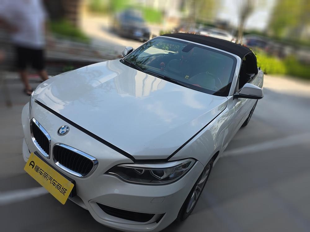 BMW BMW 2-Series (Import)