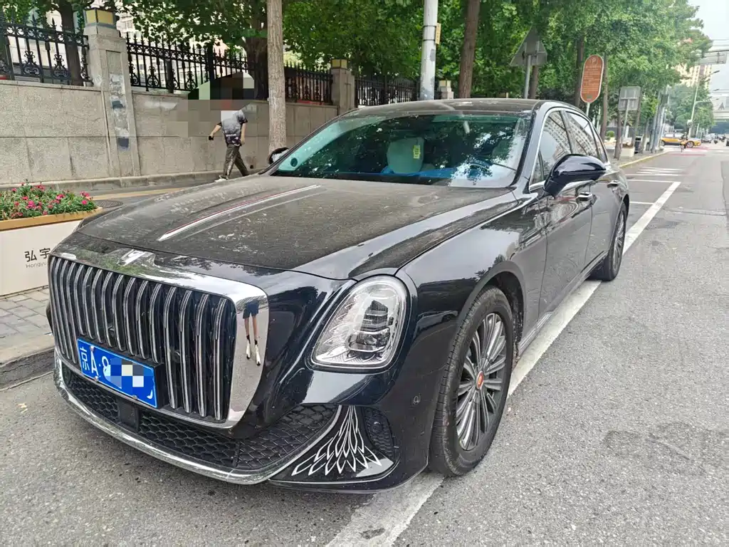 Hongqi 红旗金葵花国雅