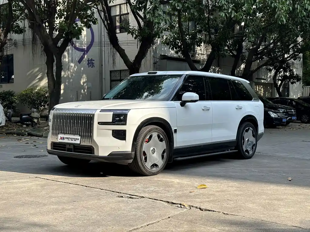 Zeekr 极氪9X