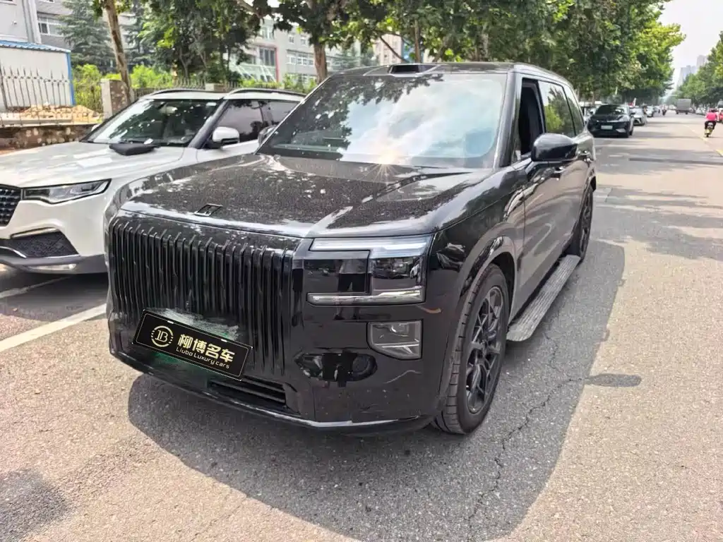 Zeekr 极氪9X