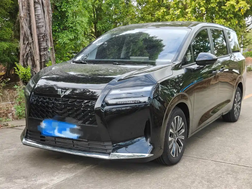 Wuling 星光730