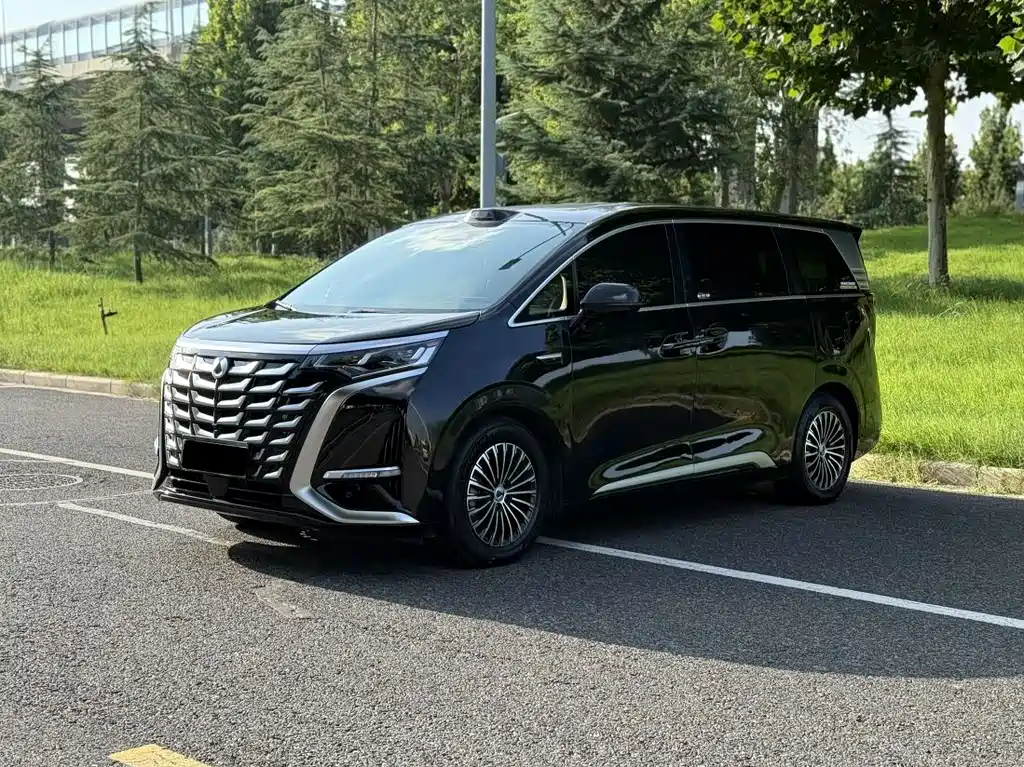 Denza Denza D9