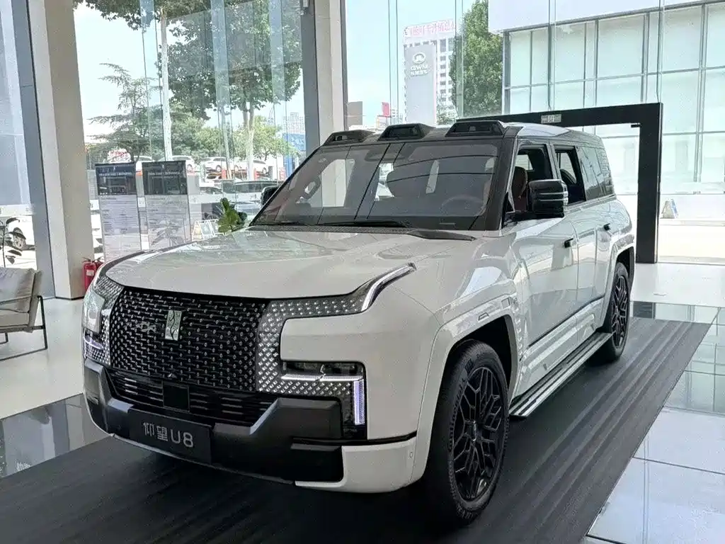 Yangwang Yangwang U8