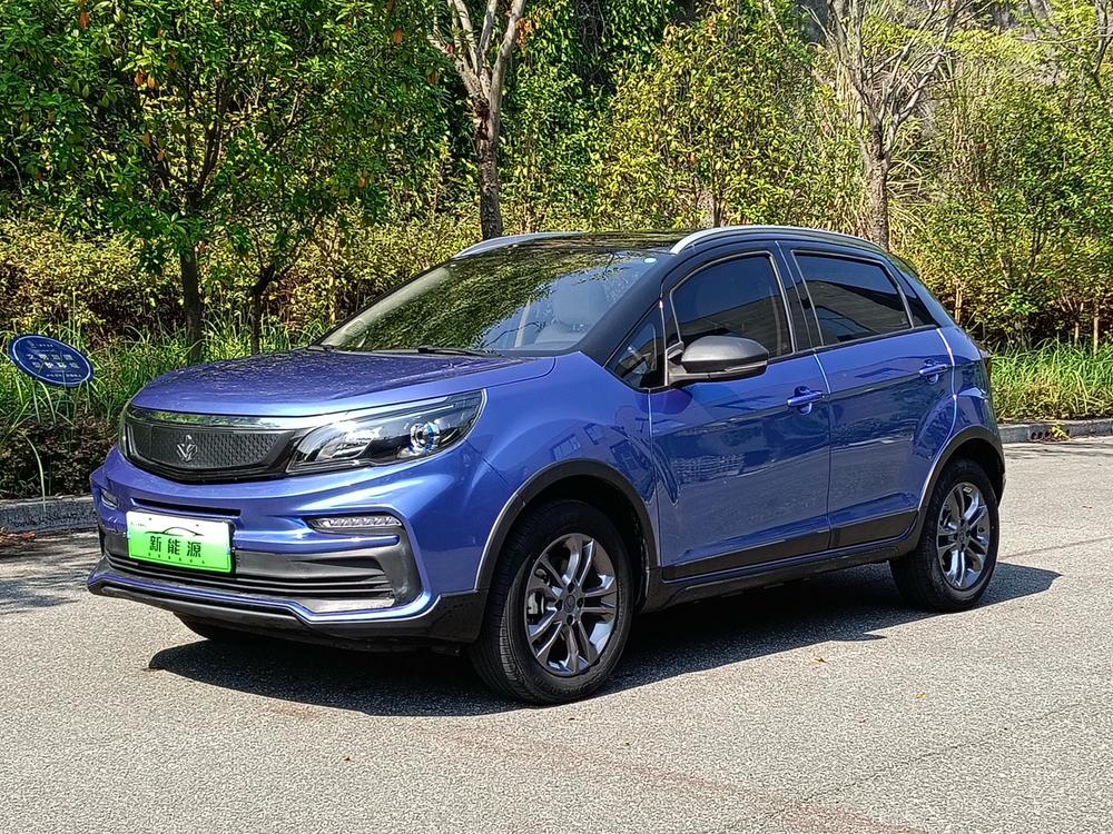 Ruilan 枫叶30X