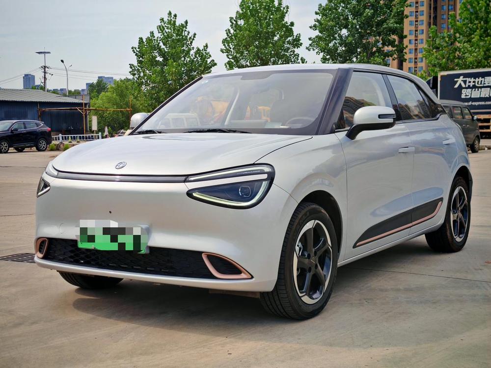 Dongfeng Yipai Nami 01