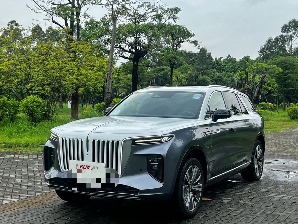 Hongqi Hongqi E-HS9