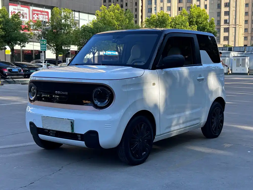 Galaxy Panda