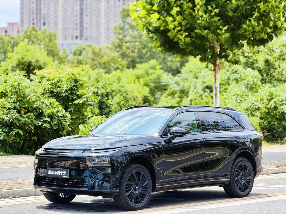 XPeng XPeng G9