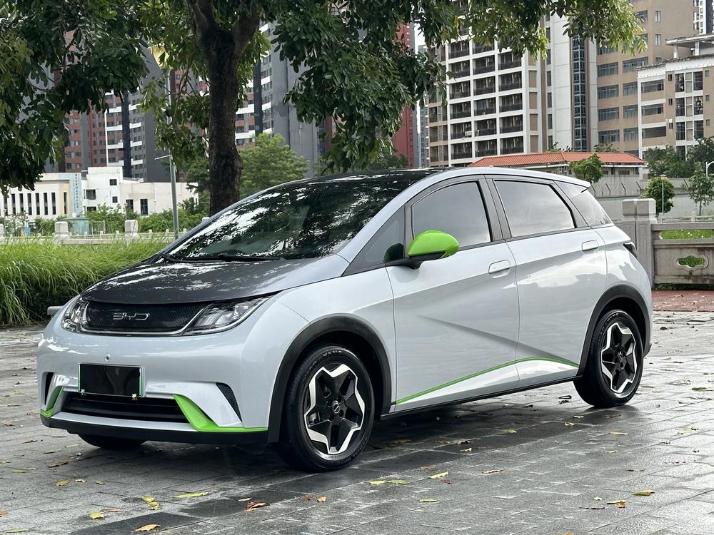 BYD Dolphin