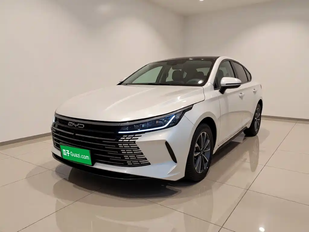 BYD Destroyer 05