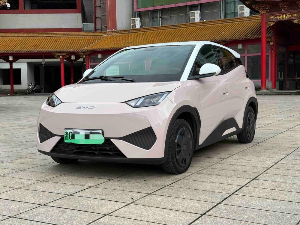 BYD Seagull