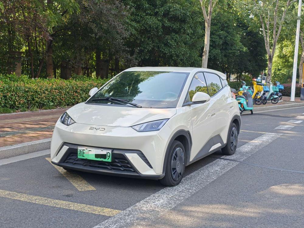 BYD Seagull
