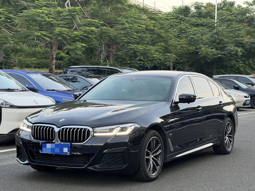 BMW BMW 5-Series
