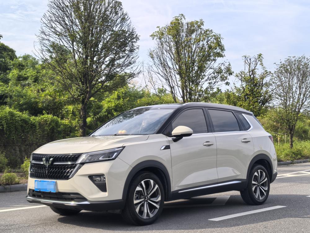 Wuling Wuling Asta
