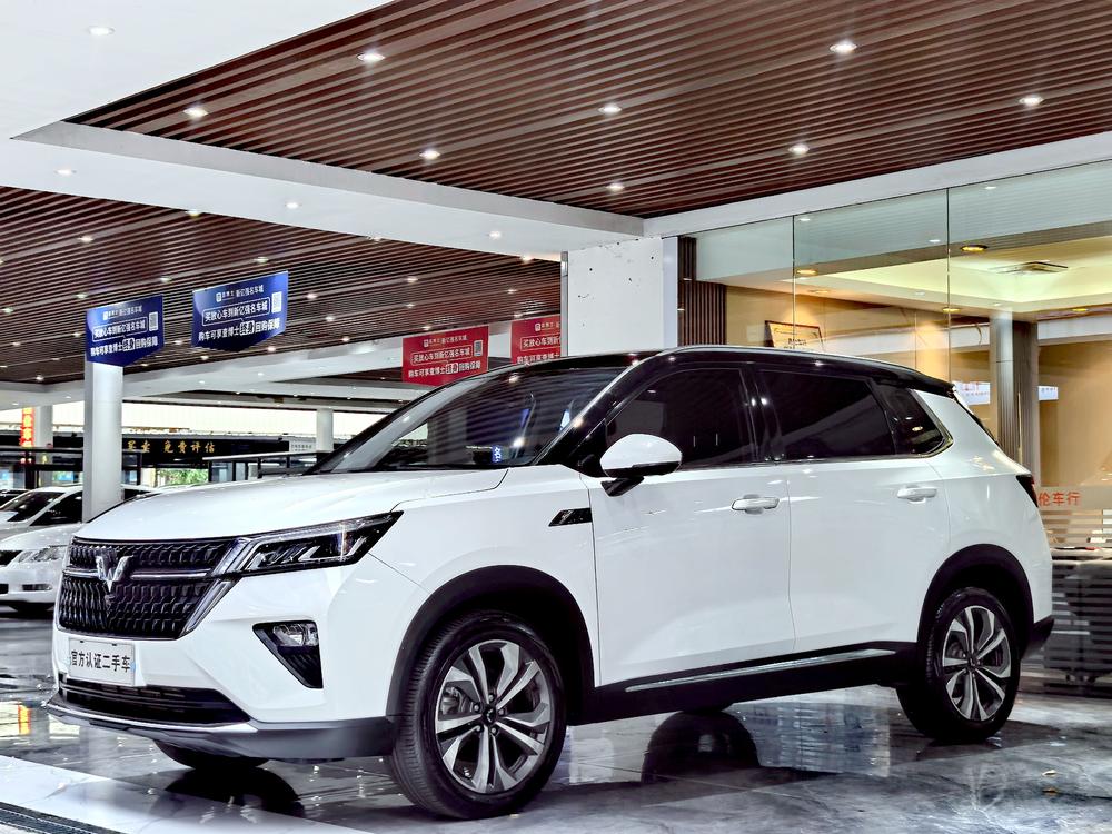 Wuling Wuling Asta
