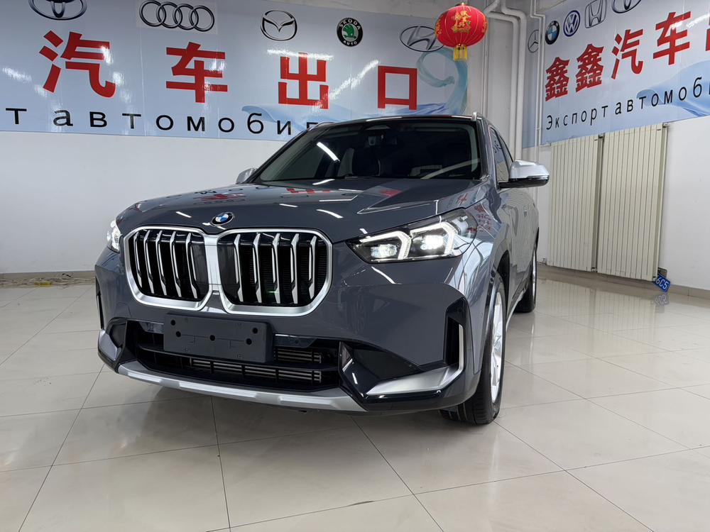 BMW BMW X1