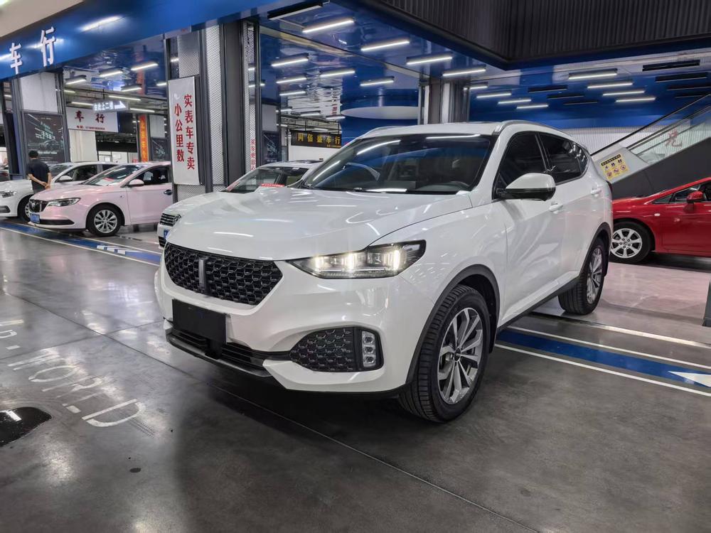 WEY WEY VV6