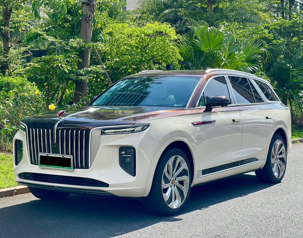 Hongqi Hongqi E-HS9