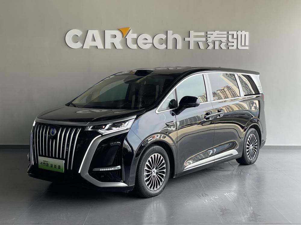 Denza Denza D9 EV