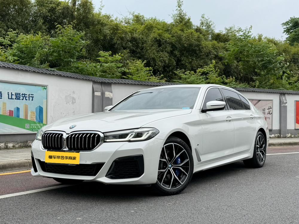 BMW BMW 5-Series