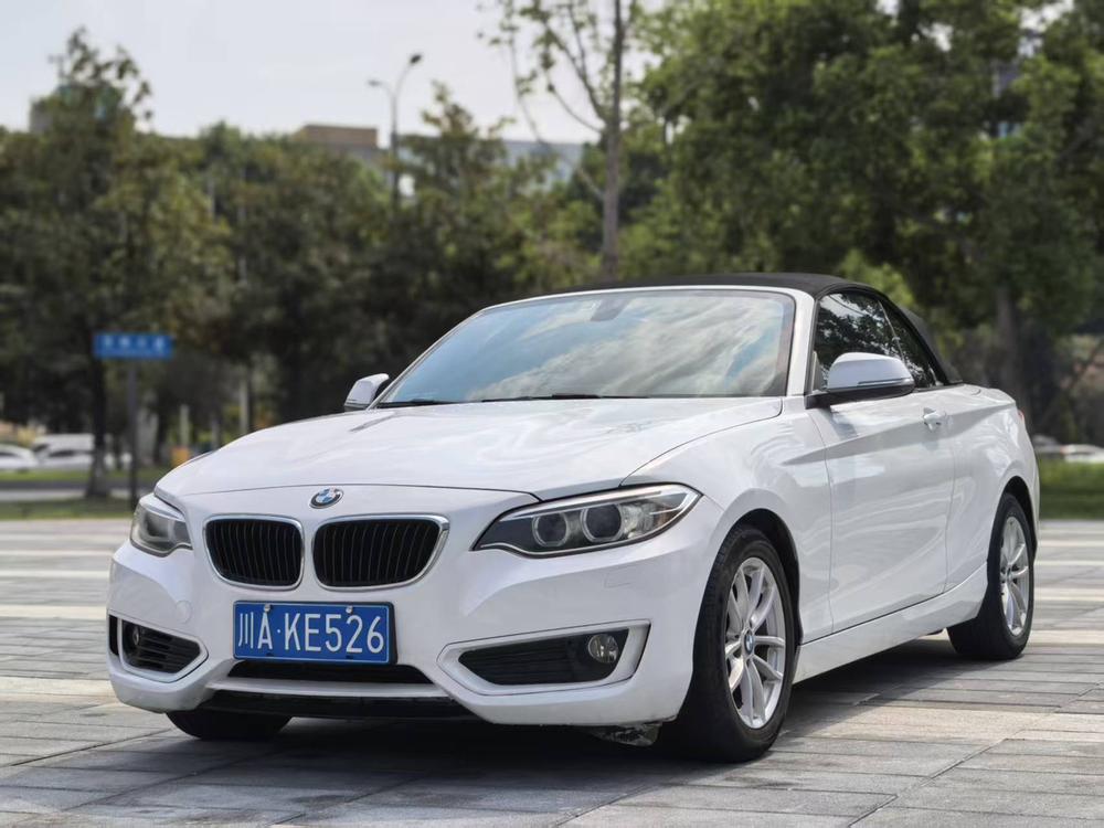 BMW BMW 2-Series (Import)