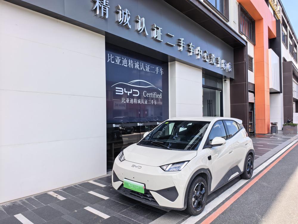 BYD Seagull