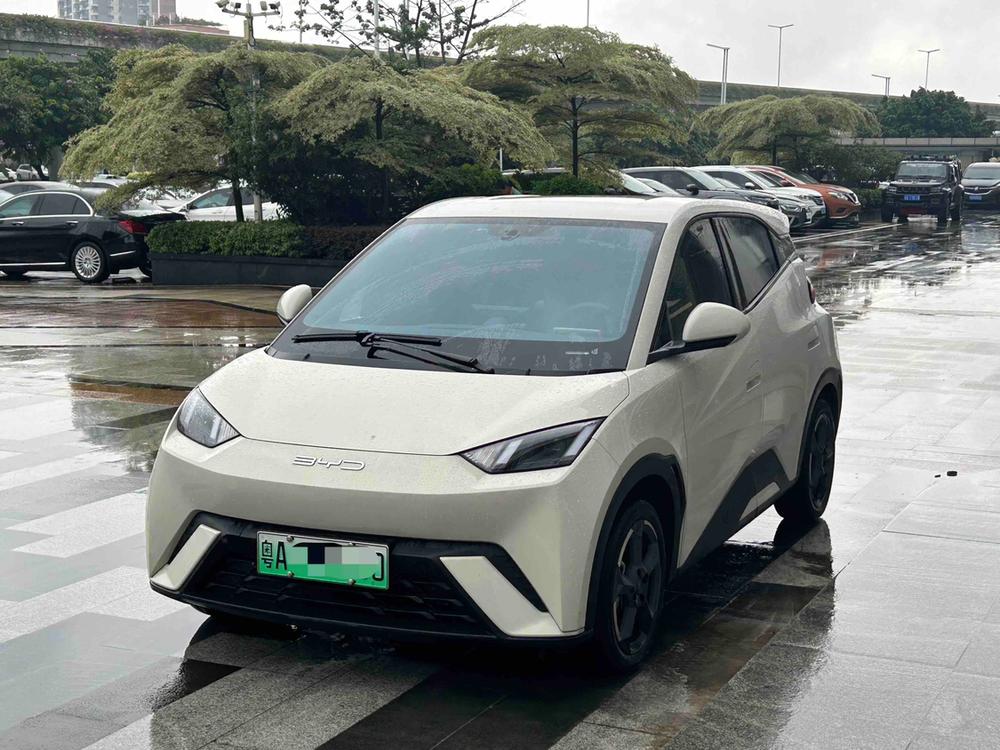 BYD Seagull