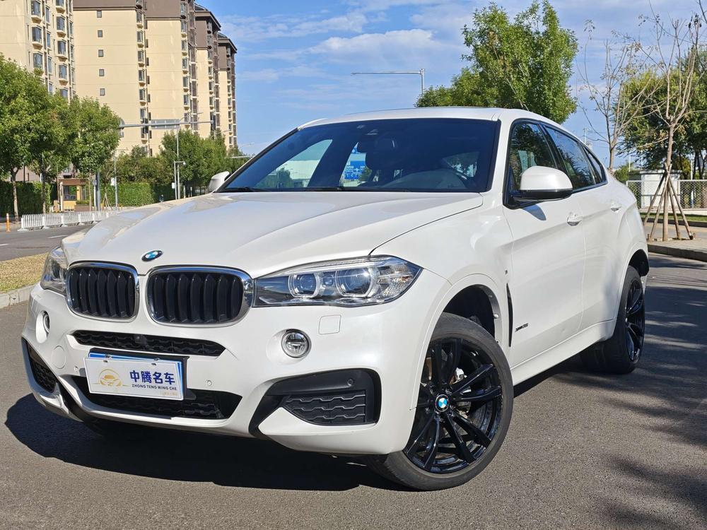 BMW BMW X6