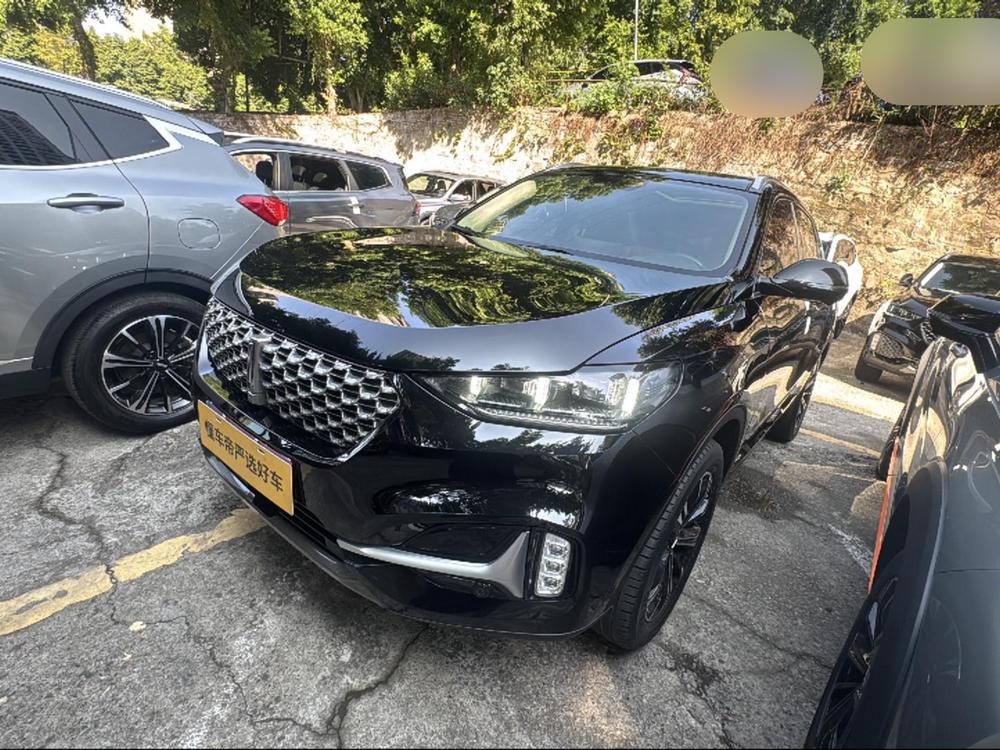 WEY WEY VV6