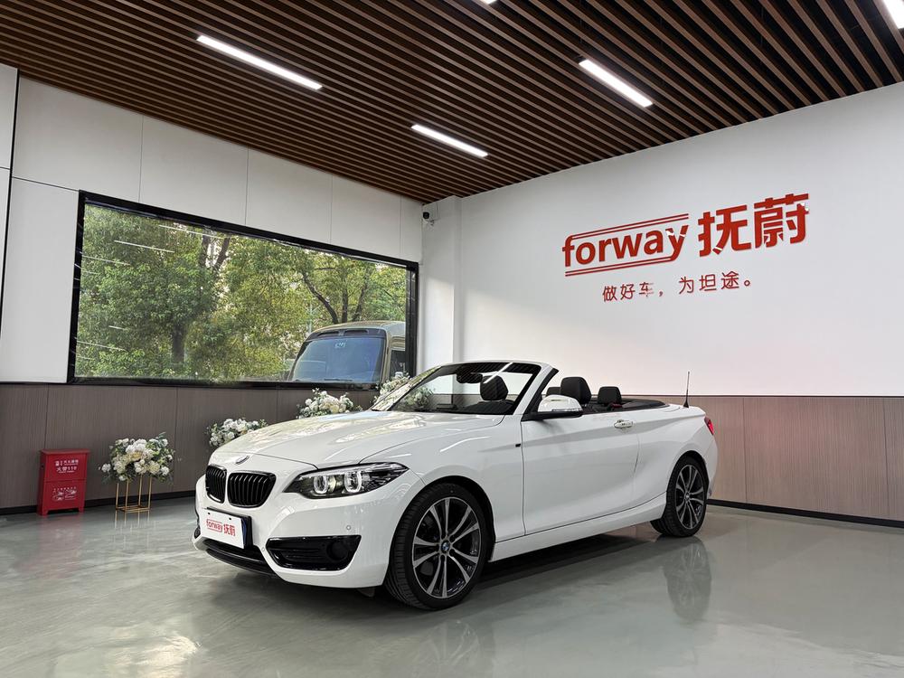 BMW BMW 2-Series (Import)
